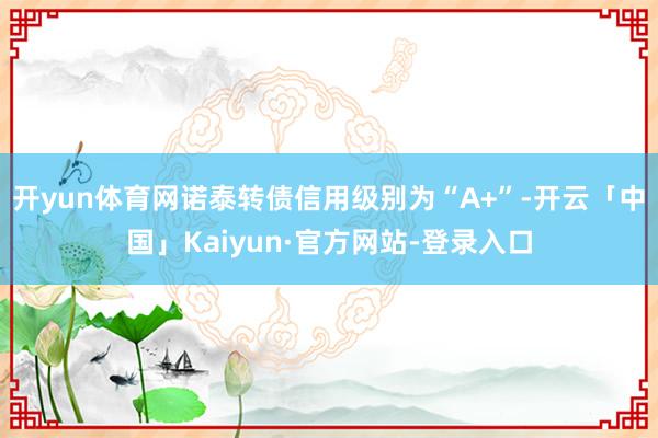 开yun体育网诺泰转债信用级别为“A+”-开云「中国」Kaiyun·官方网站-登录入口